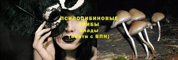 ГАЛЛЮЦИНОГЕННЫЕ ГРИБЫ Нея