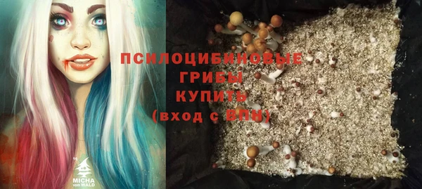 дживик Нефтегорск