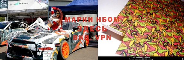 ГАЛЛЮЦИНОГЕННЫЕ ГРИБЫ Нея